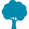 arbre-silhouette arbre-silhouette